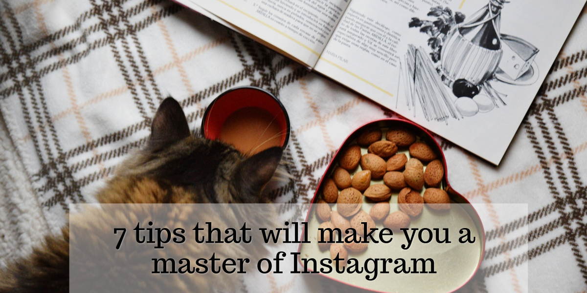 7 tips that will make you a master of Instagram